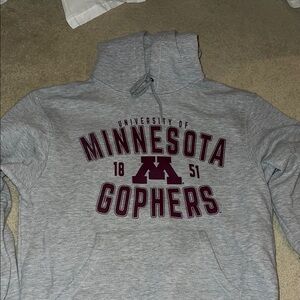 Gray University of Minnesota Gophers Hoodie